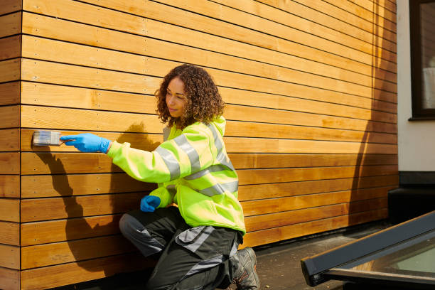 Affordable Siding Repair and Maintenance Services in Universal City, TX